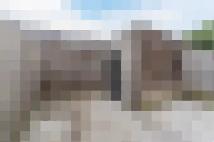 Dagpauwoog 6 Nijkerk thumbnail 32