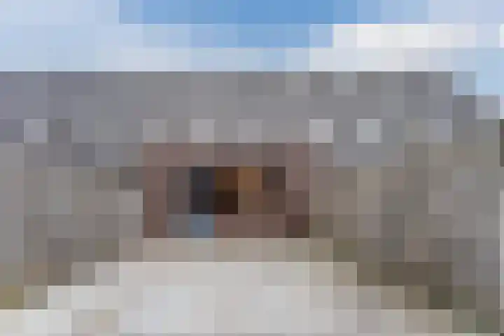 Dagpauwoog 6 Nijkerk thumbnail 33