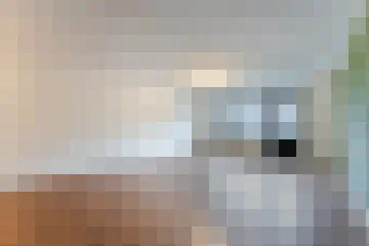 Dagpauwoog 6 Nijkerk thumbnail 7