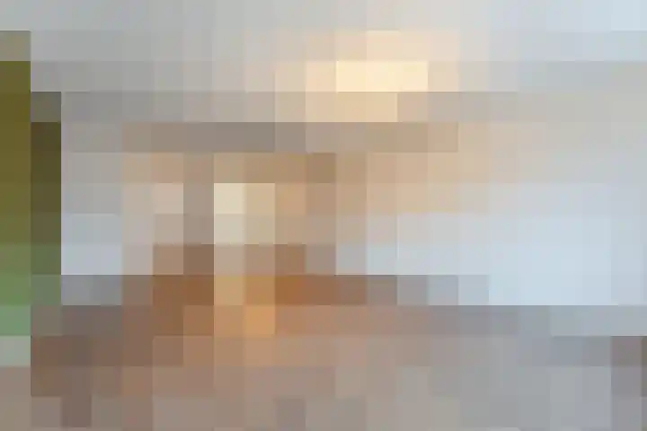 Dagpauwoog 6 Nijkerk thumbnail 8
