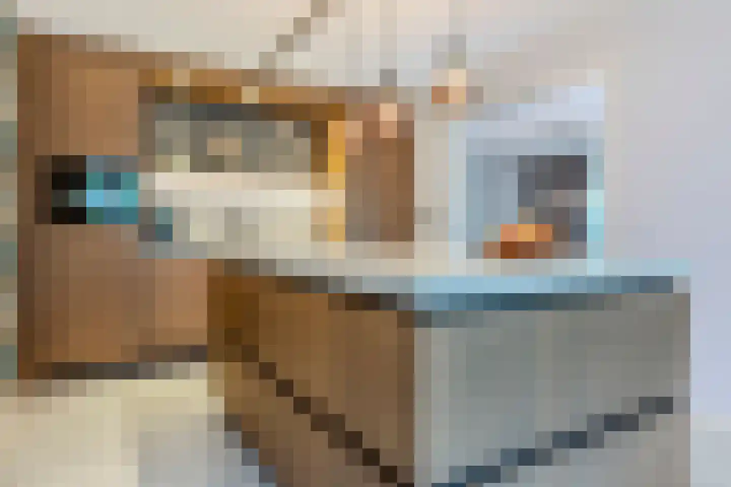 Dagpauwoog 7 Rijen thumbnail 23