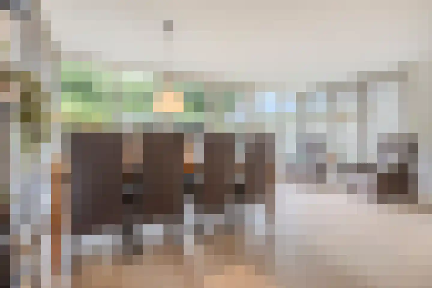 Dagpauwoog 7 Rijen thumbnail 27