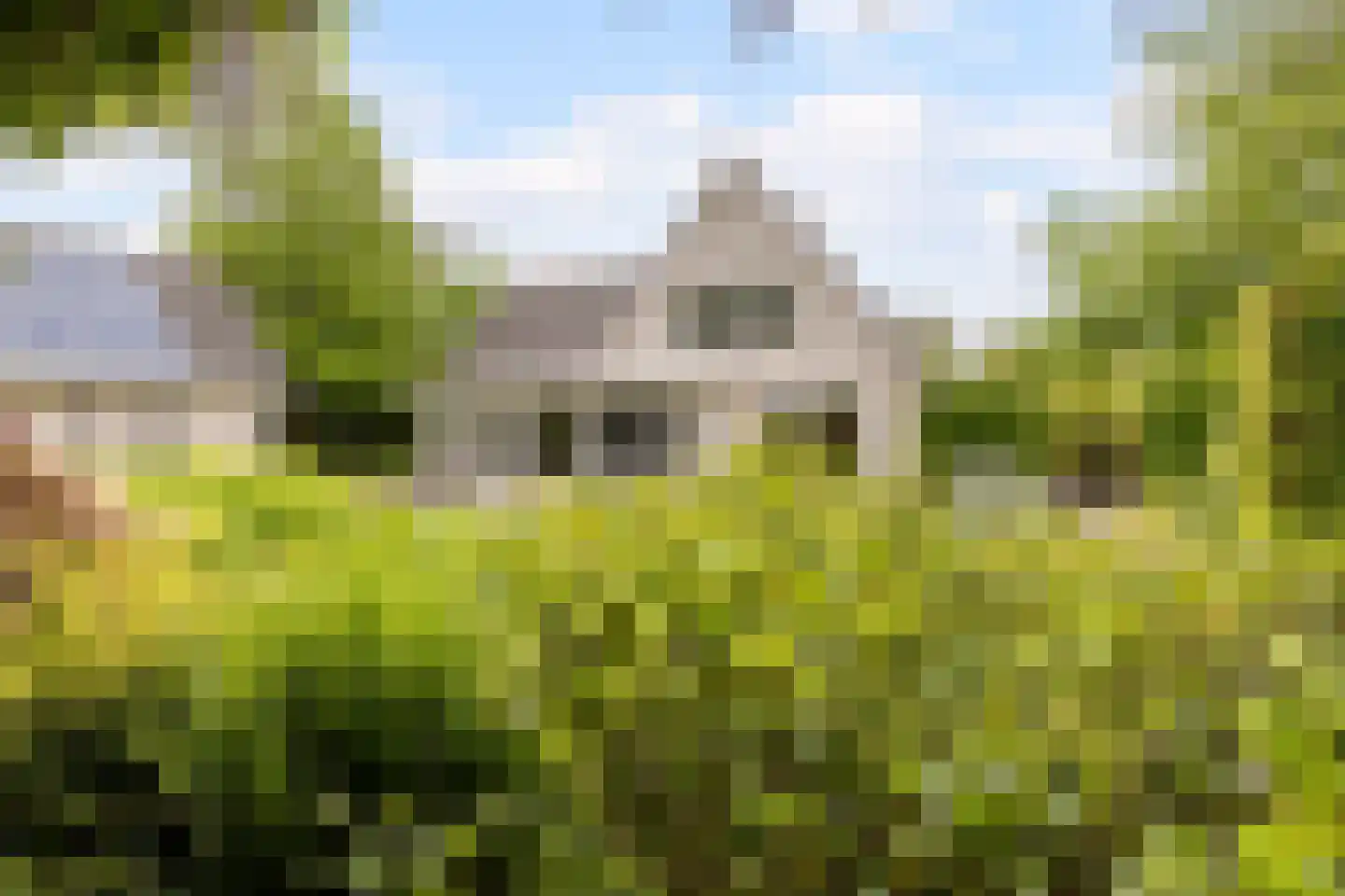 Dagpauwoog 7 Rijen thumbnail 34