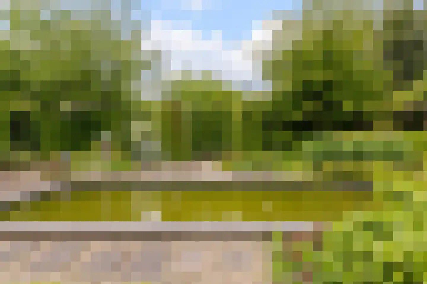 Dagpauwoog 7 Rijen thumbnail 36