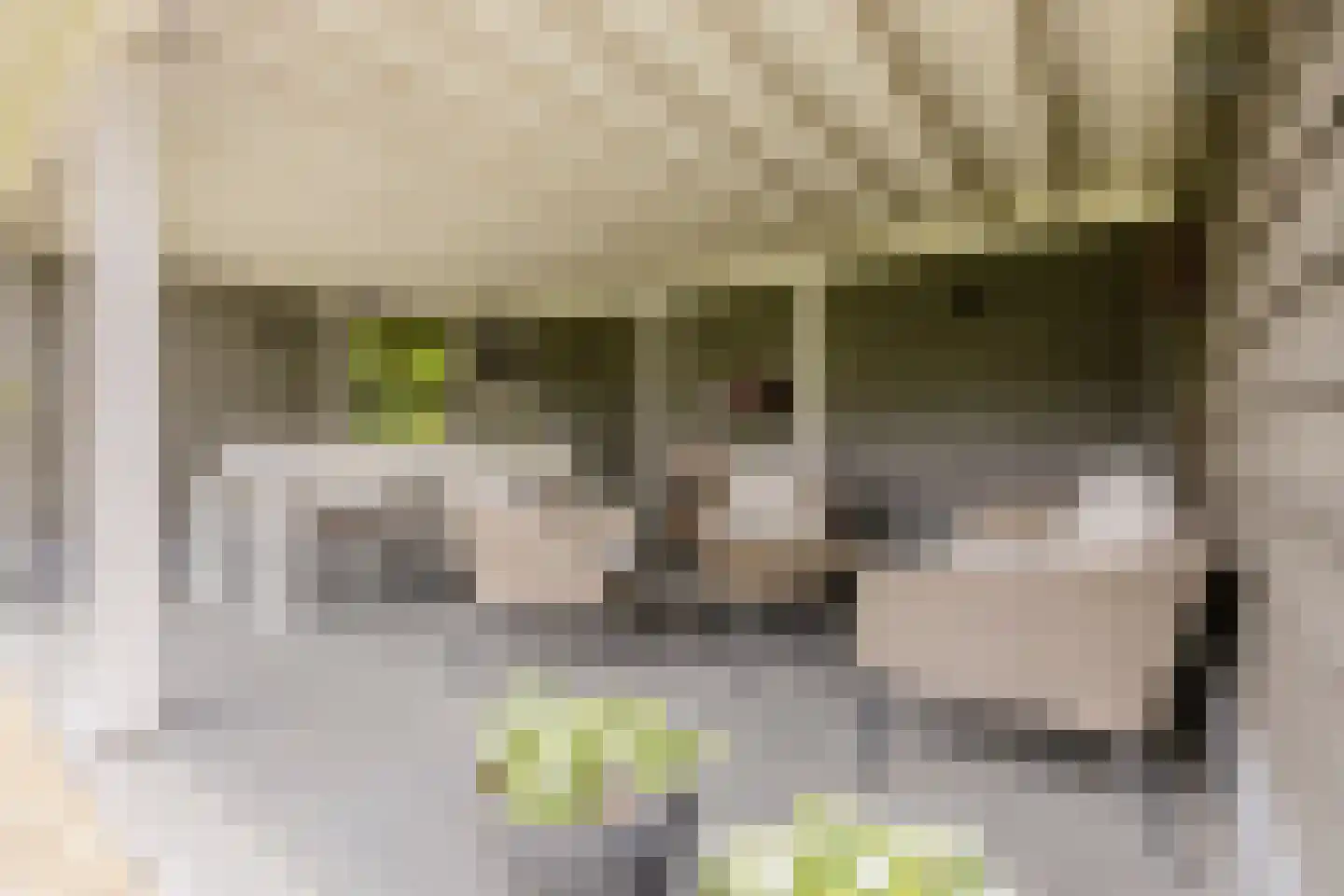 Dagpauwoog 7 Rijen thumbnail 37