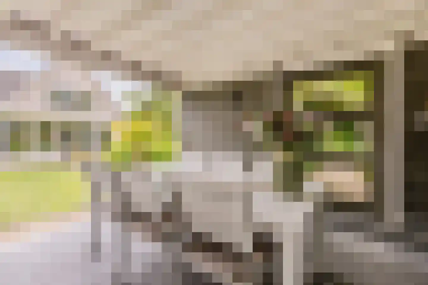 Dagpauwoog 7 Rijen thumbnail 38