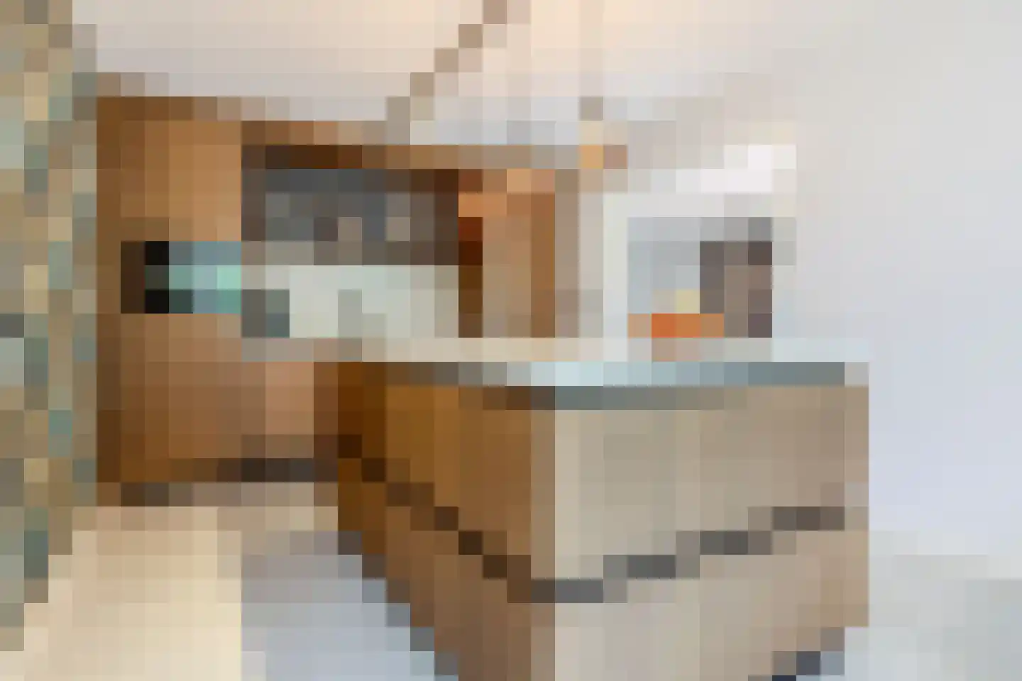 Dagpauwoog 7 Rijen thumbnail 4