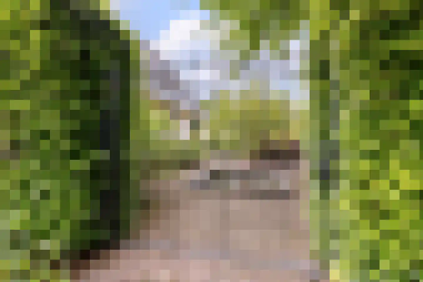 Dagpauwoog 7 Rijen thumbnail 40