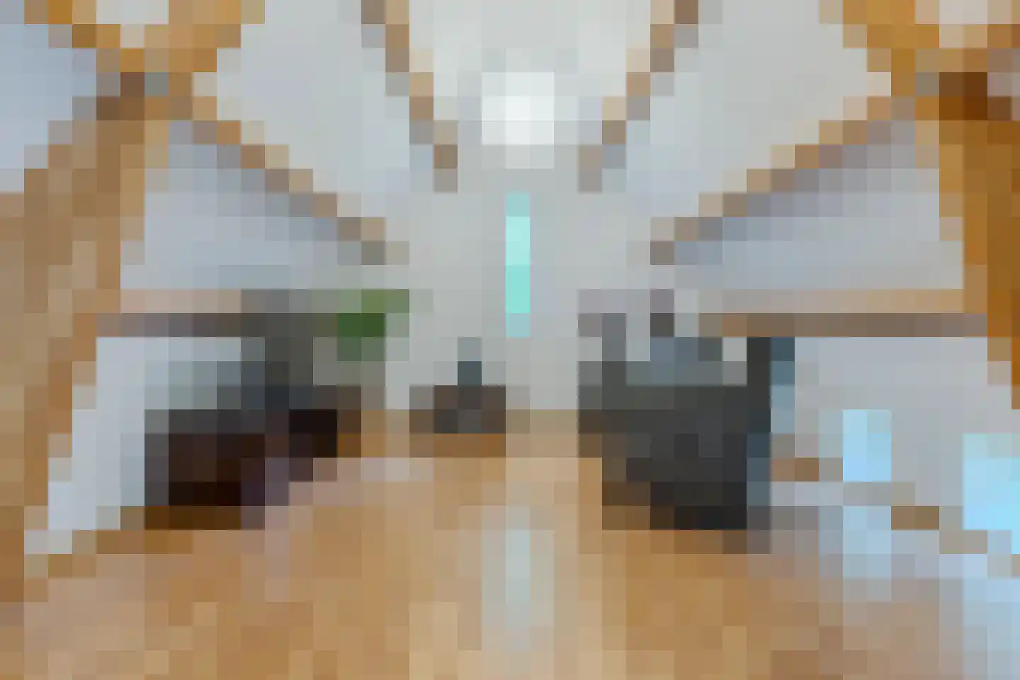 Dagpauwoog 7 Rijen thumbnail 47