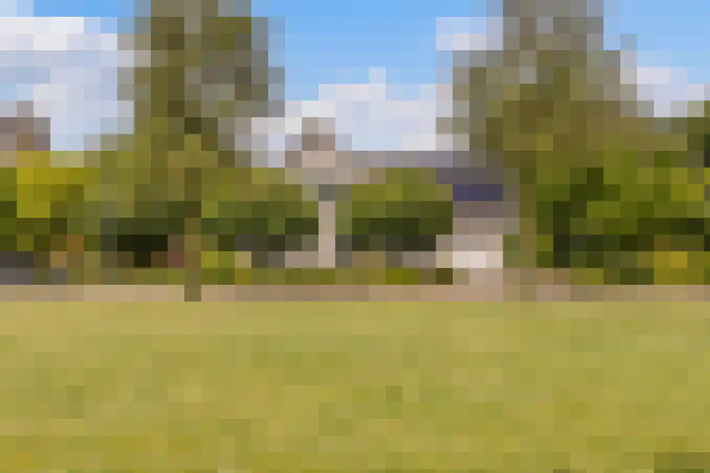 Dagpauwoog 7 Rijen thumbnail 5