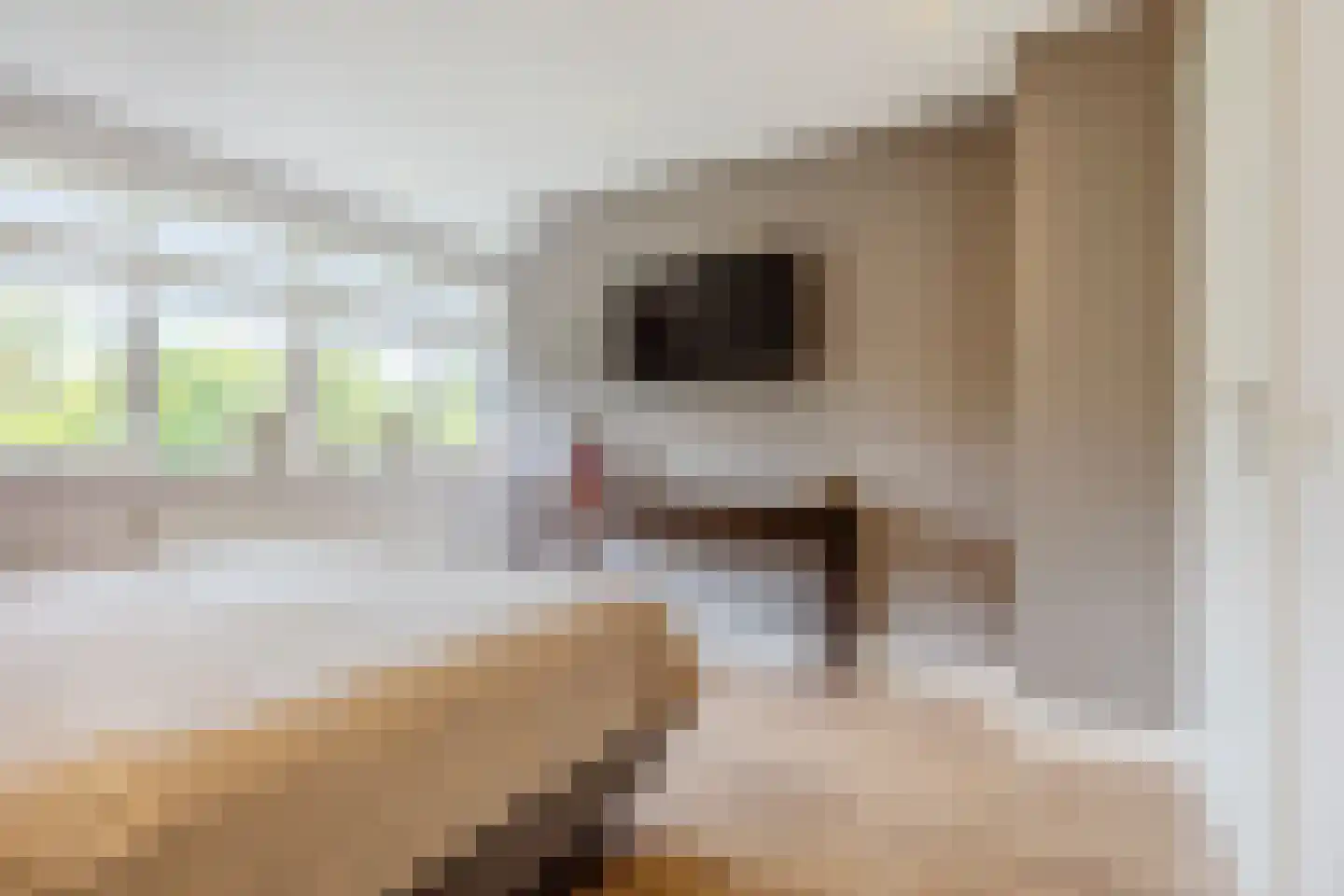 Dagpauwoog 7 Rijen thumbnail 51