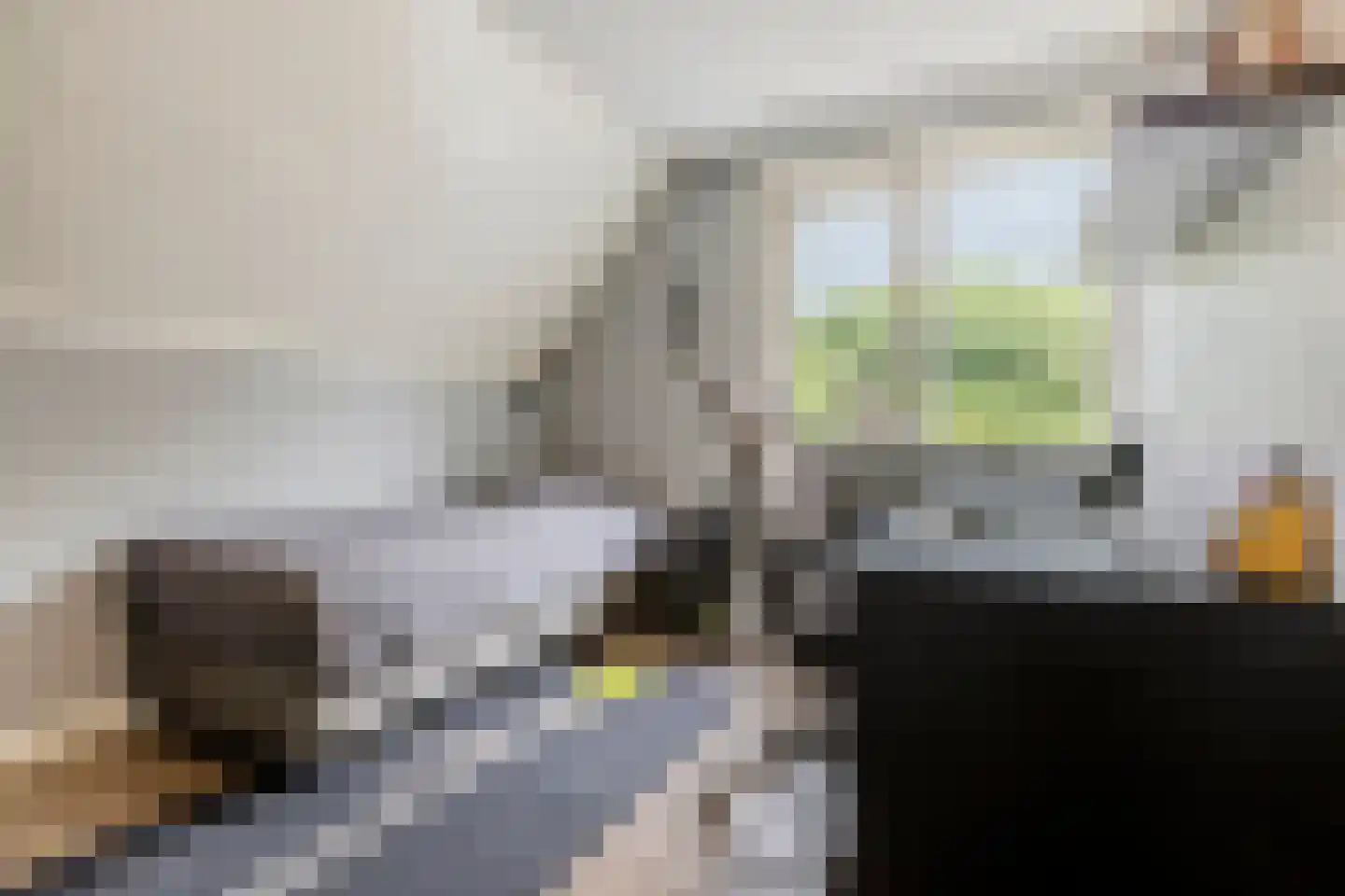 Dagpauwoog 7 Rijen thumbnail 58