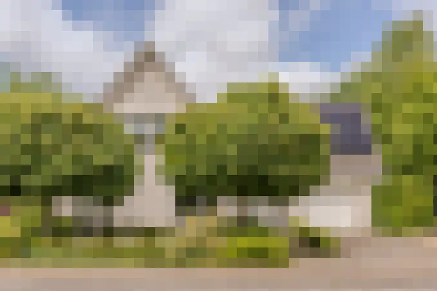 Dagpauwoog 7 Rijen thumbnail 6