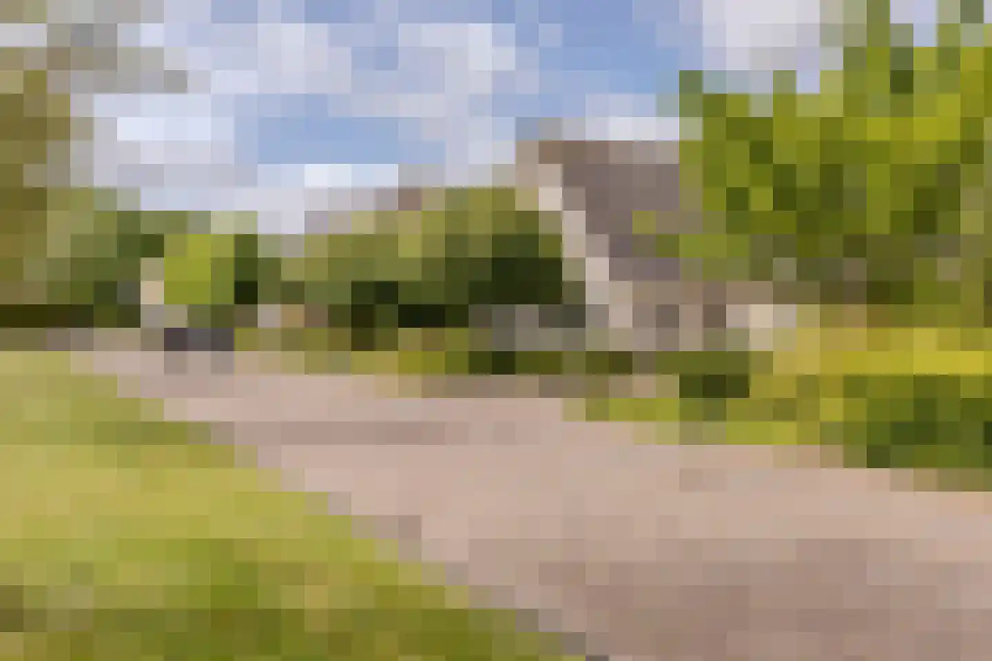 Dagpauwoog 7 Rijen thumbnail 67