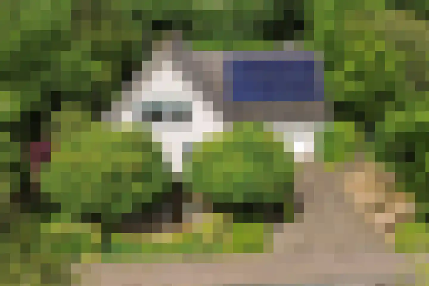 Dagpauwoog 7 Rijen thumbnail 72