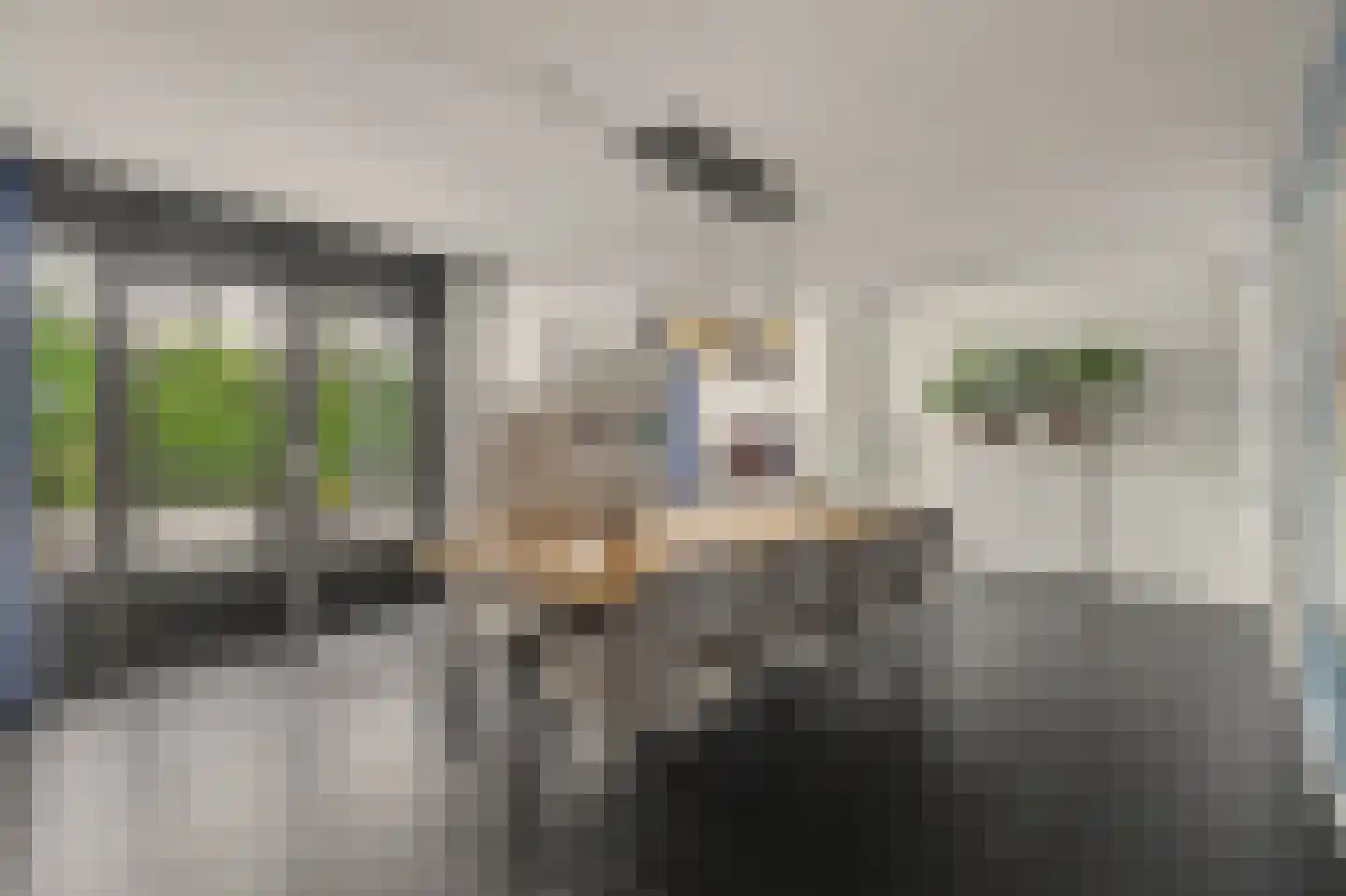 Dagpauwoog 7 's-Gravendeel thumbnail 17