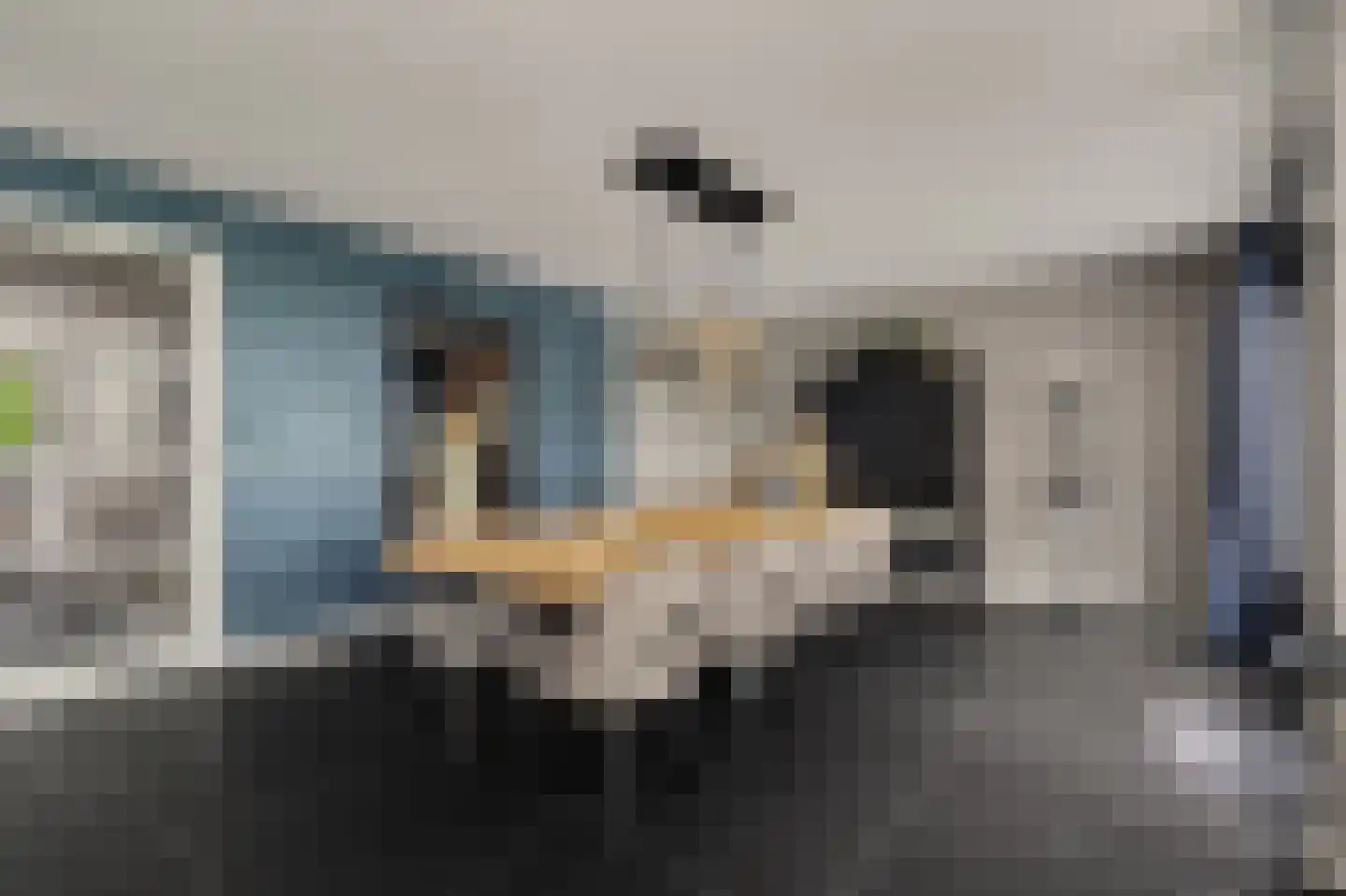 Dagpauwoog 7 's-Gravendeel thumbnail 19