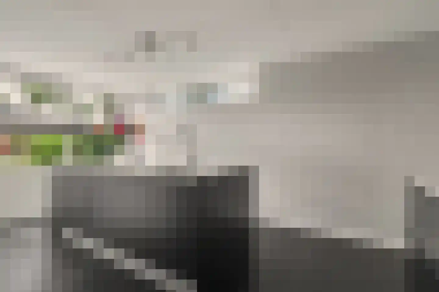 Dagpauwoog 7 's-Gravendeel thumbnail 24
