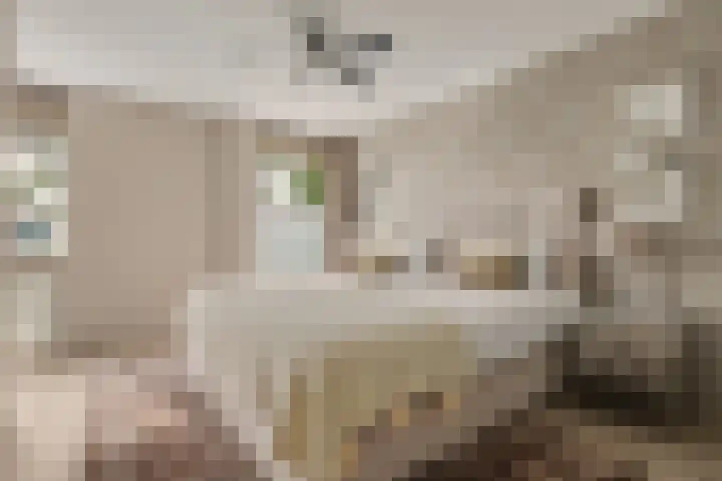 Dagpauwoog 7 's-Gravendeel thumbnail 28