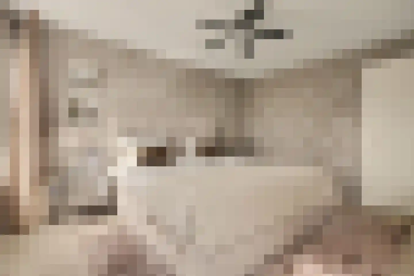 Dagpauwoog 7 's-Gravendeel thumbnail 29