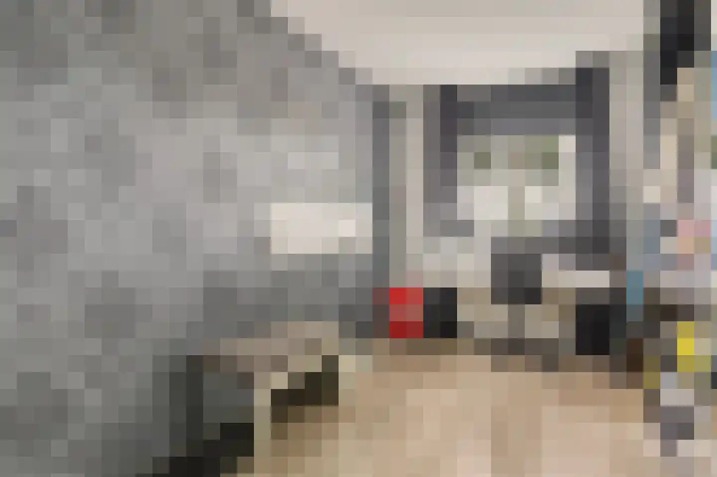 Dagpauwoog 7 's-Gravendeel thumbnail 33