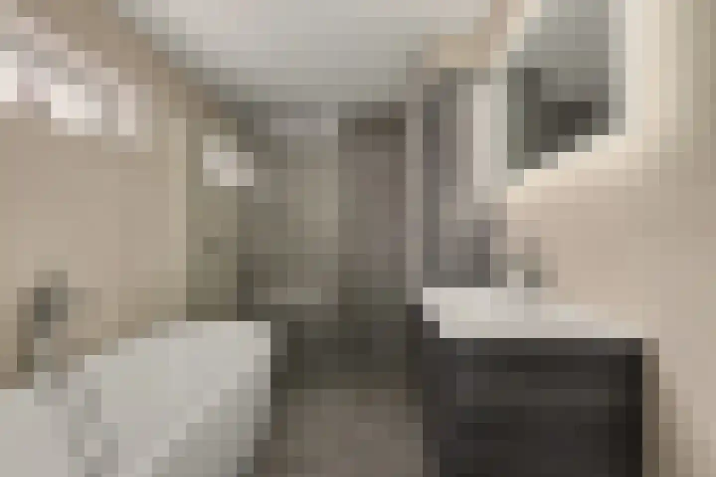 Dagpauwoog 7 's-Gravendeel thumbnail 35