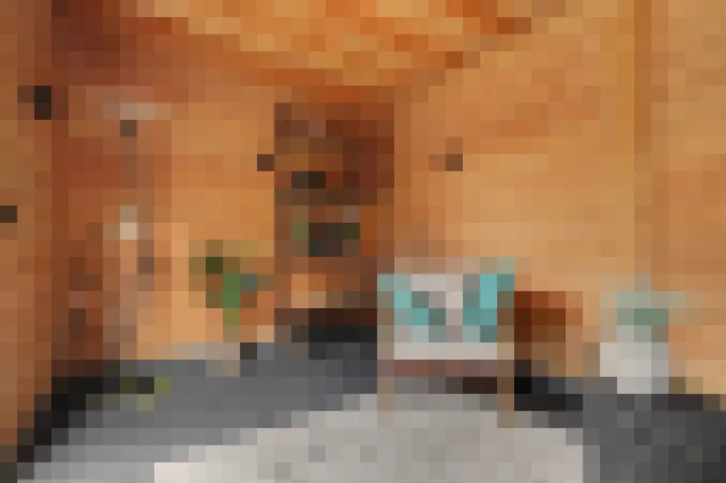 Dagpauwoog 7 's-Gravendeel thumbnail 42
