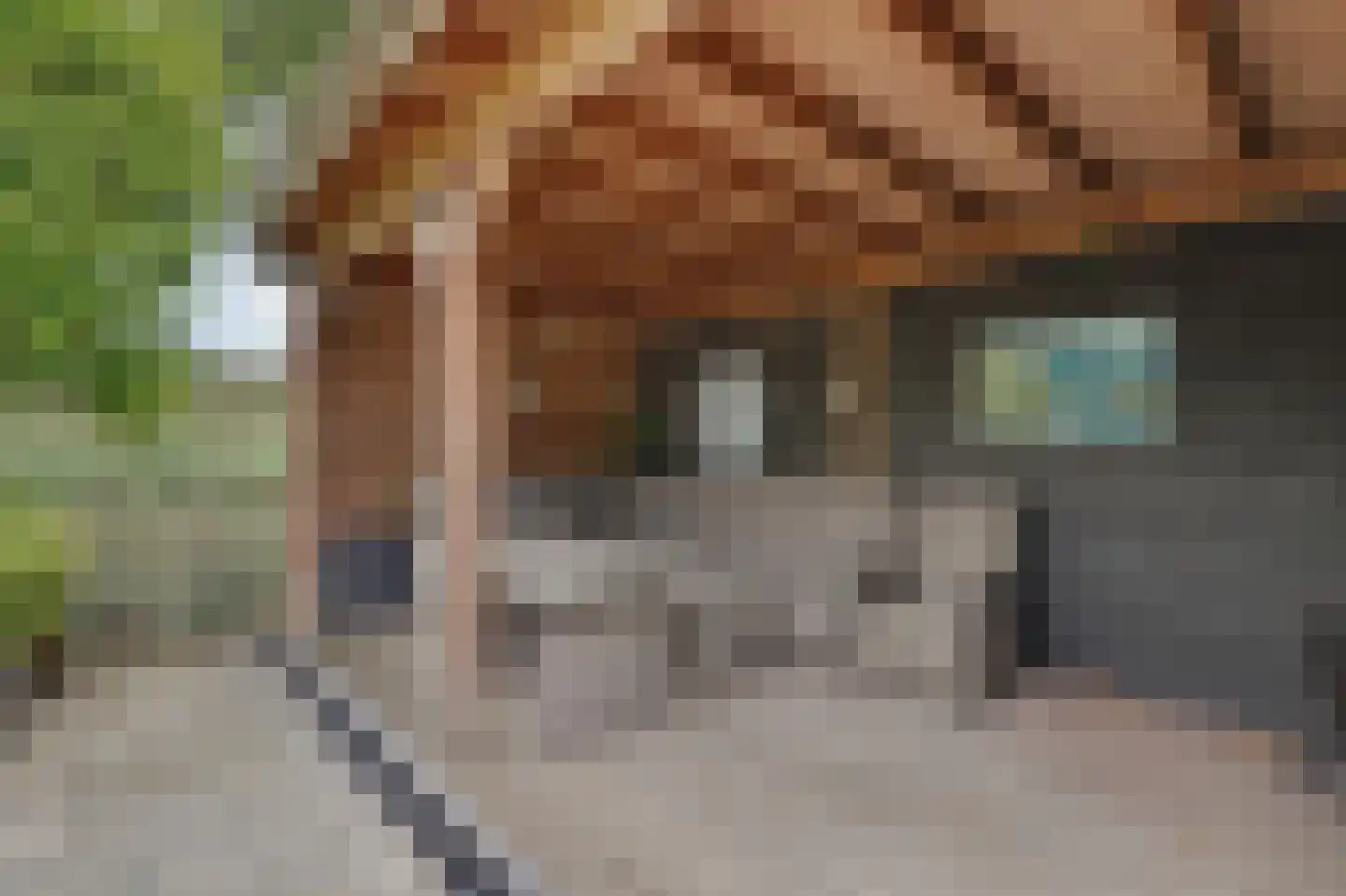Dagpauwoog 7 's-Gravendeel thumbnail 43