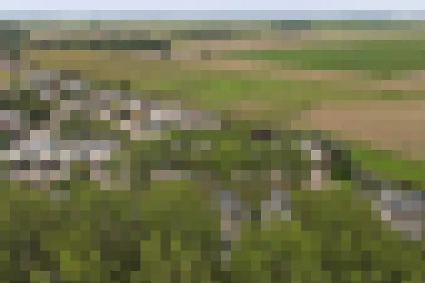 Dagpauwoog 7 's-Gravendeel thumbnail 47