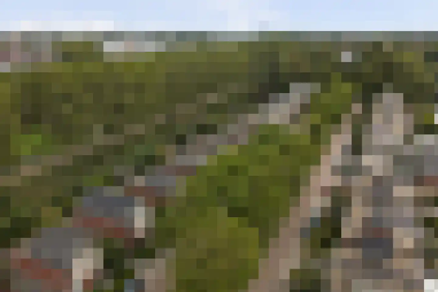 Dagpauwoog 7 's-Gravendeel thumbnail 49