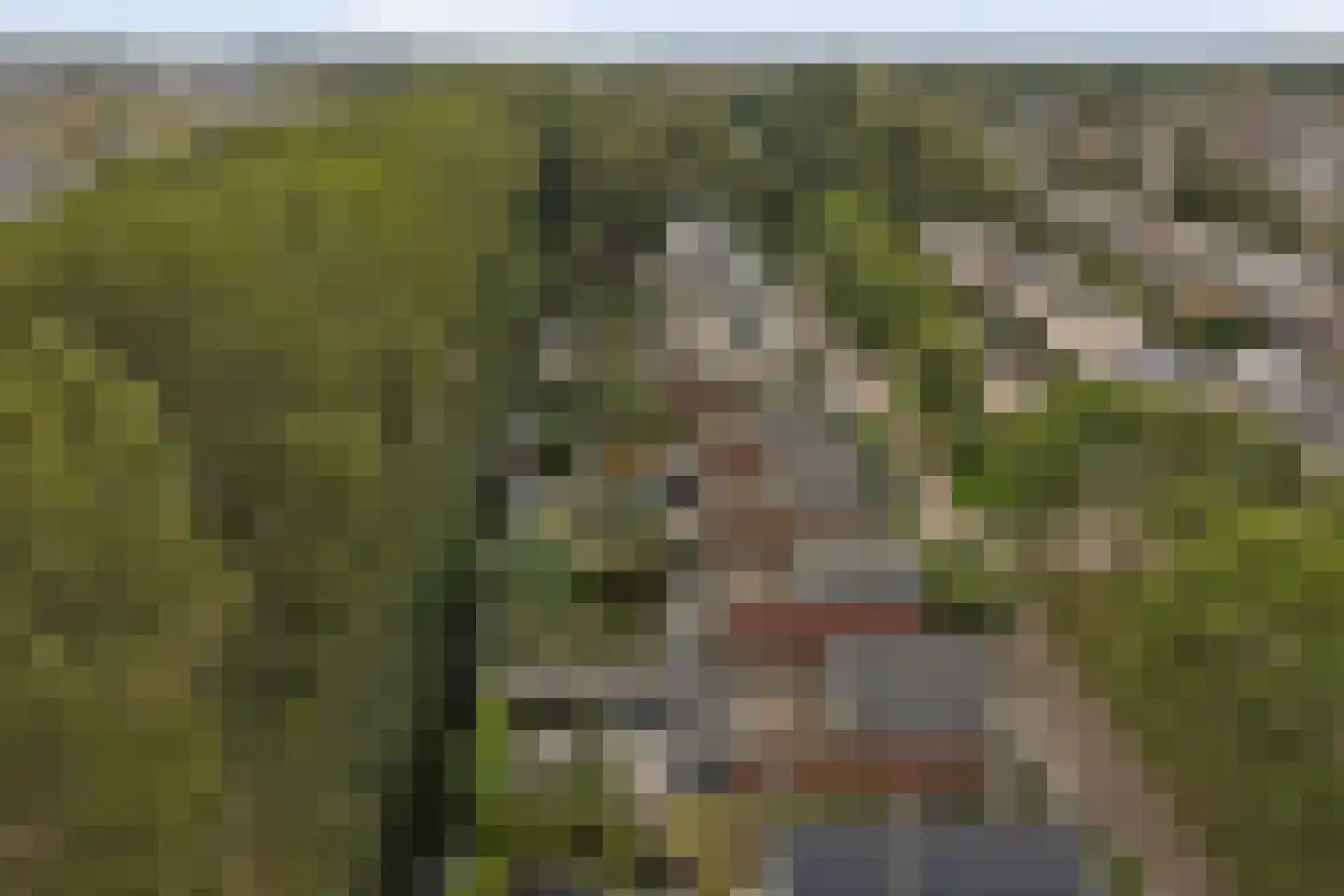 Dagpauwoog 7 's-Gravendeel thumbnail 51