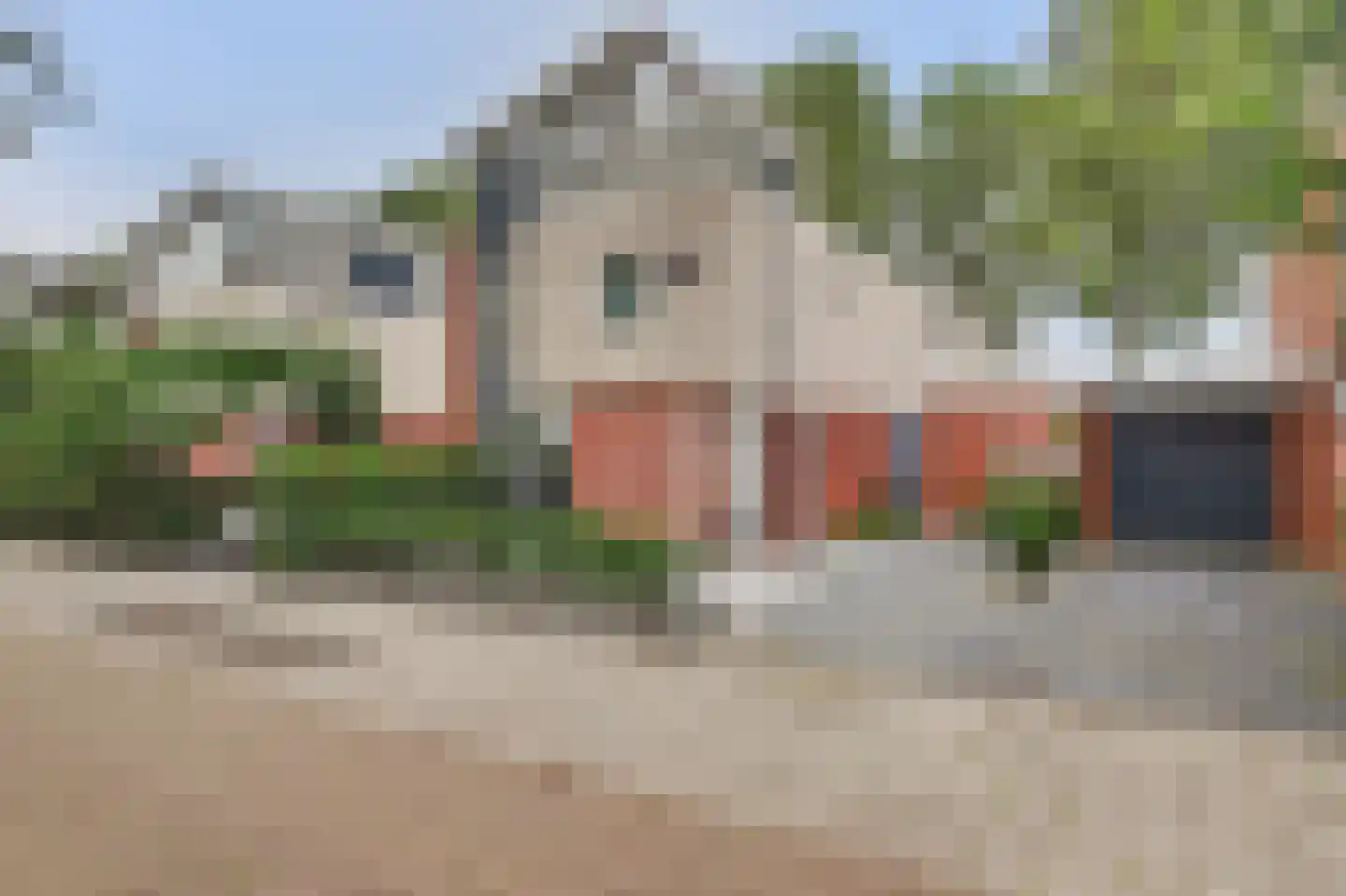 Dagpauwoog 7 's-Gravendeel thumbnail 52
