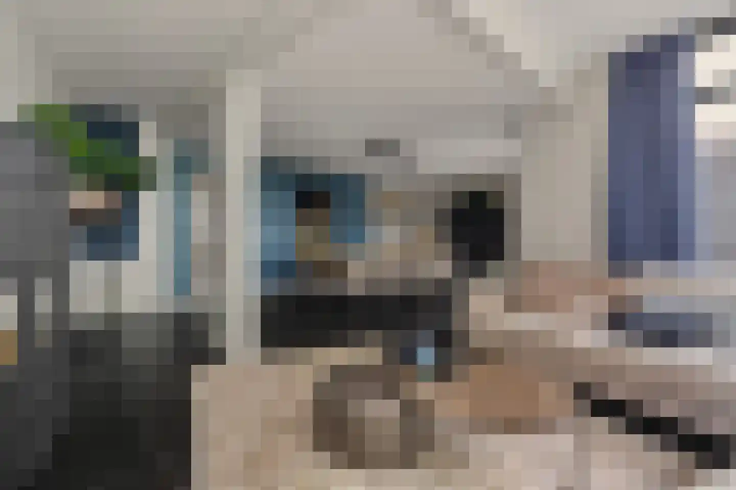 Dagpauwoog 7 's-Gravendeel thumbnail 6
