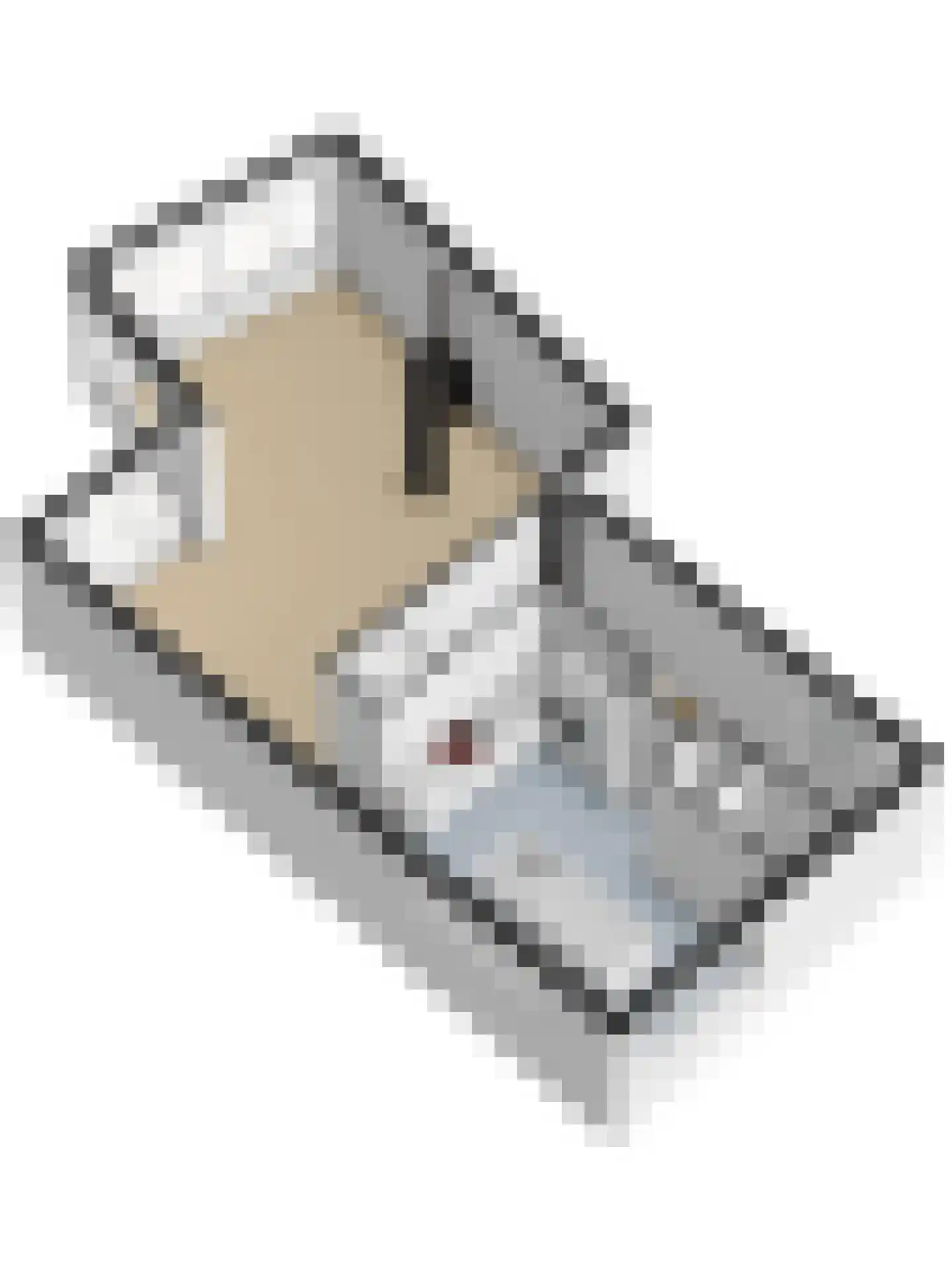 Dagpauwoog 7 's-Gravendeel thumbnail 61