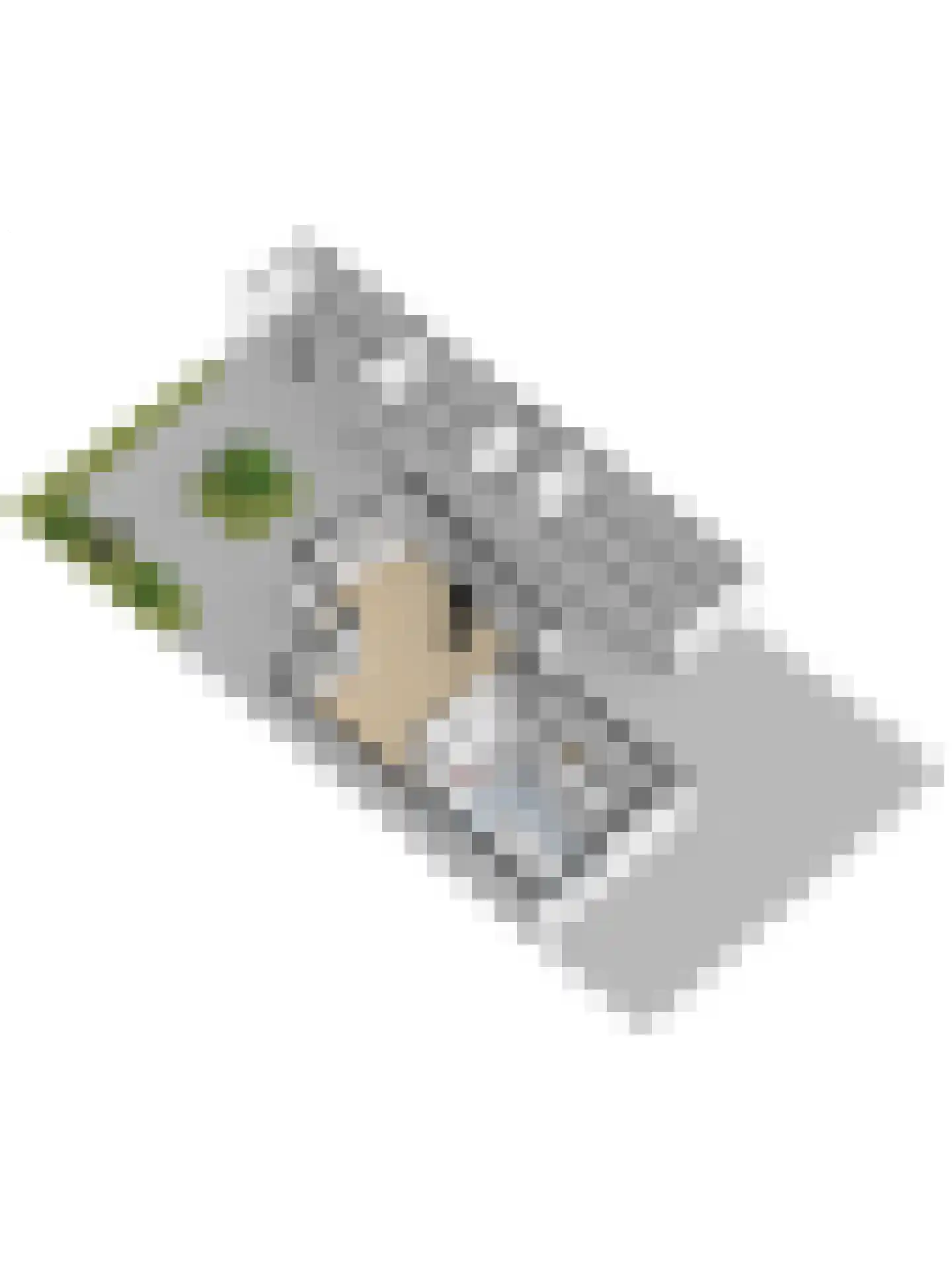 Dagpauwoog 7 's-Gravendeel thumbnail 63
