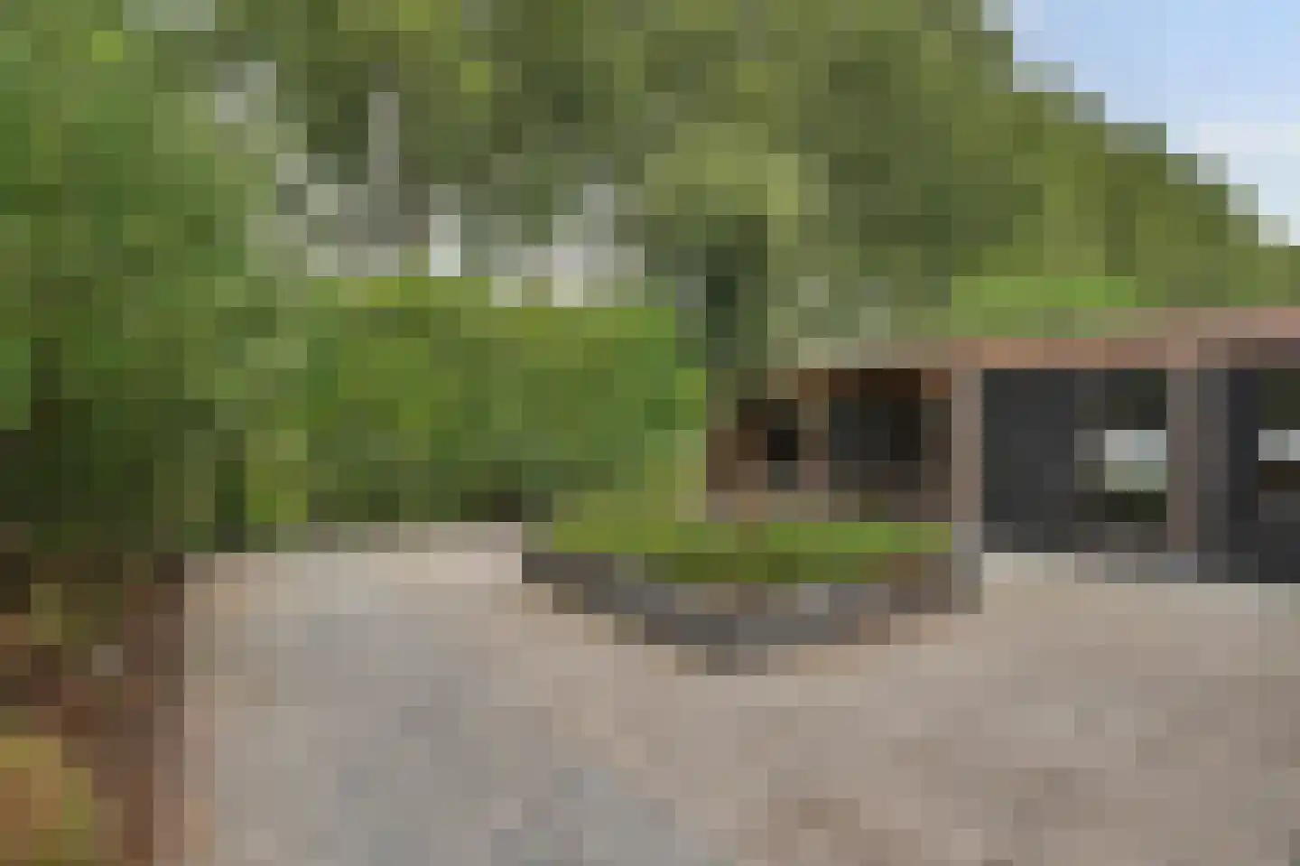 Dagpauwoog 7 's-Gravendeel thumbnail 7