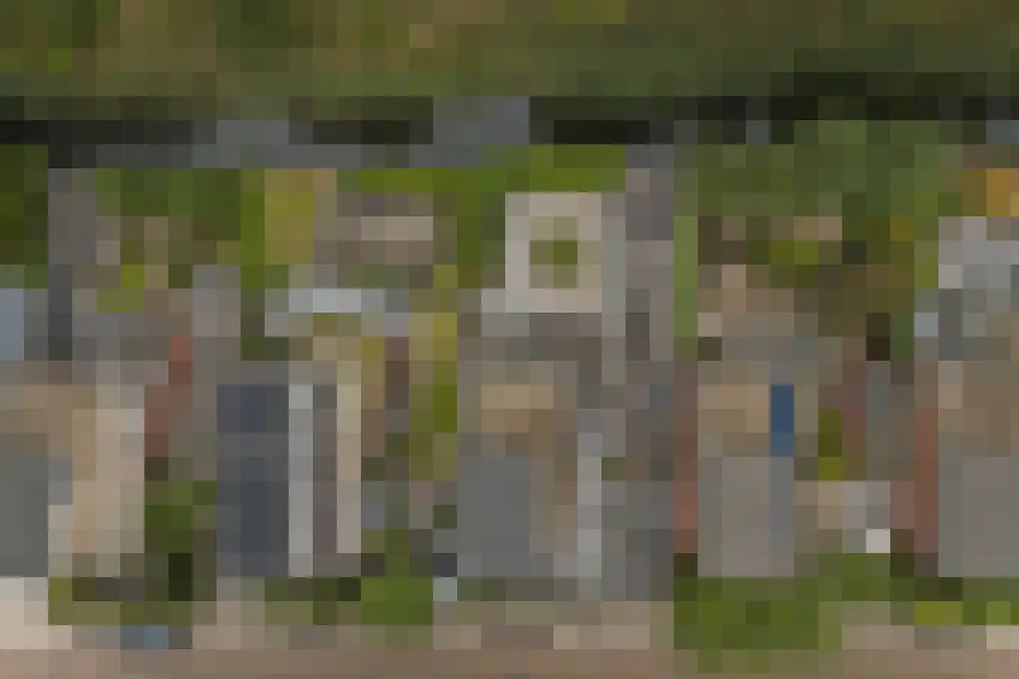 Dagpauwoog 7 's-Gravendeel thumbnail 8