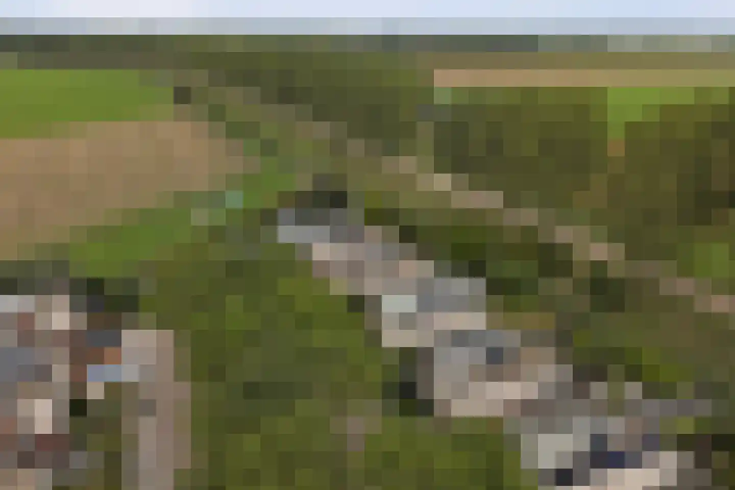 Dagpauwoog 7 's-Gravendeel thumbnail 9