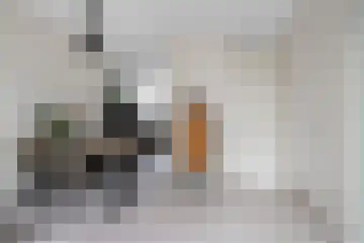 Dagpauwoog 73 Someren thumbnail 10