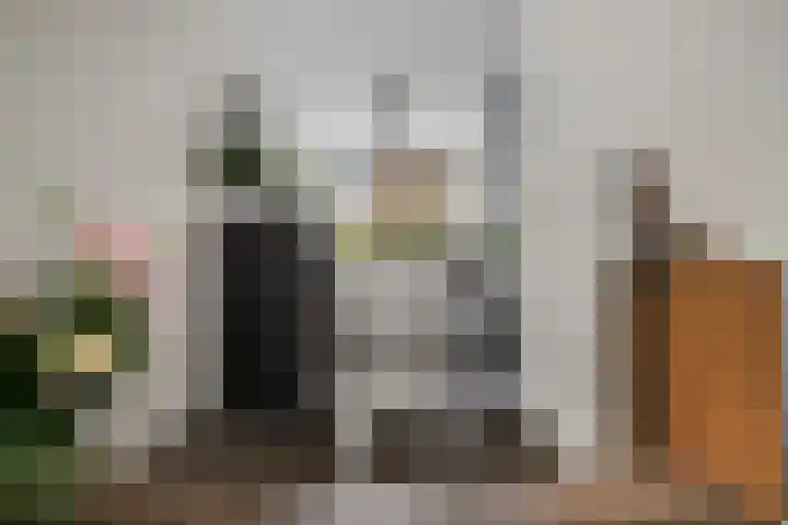 Dagpauwoog 73 Someren thumbnail 11