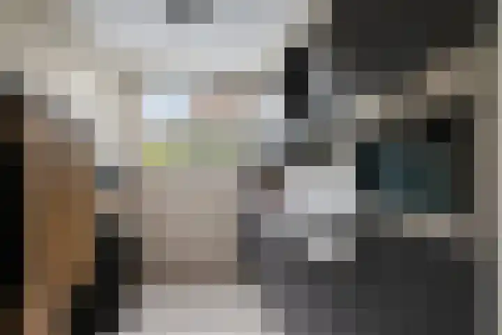 Dagpauwoog 73 Someren thumbnail 12