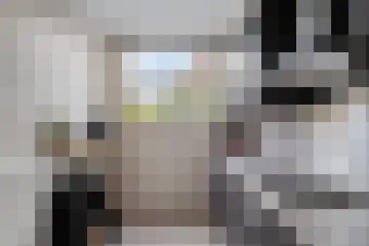 Dagpauwoog 73 Someren thumbnail 13