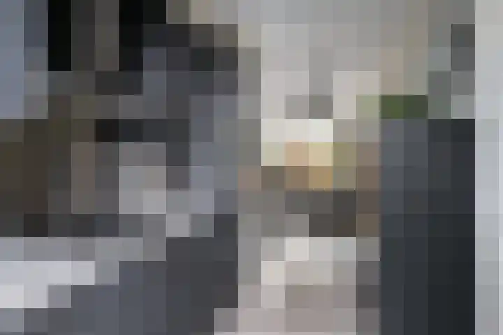 Dagpauwoog 73 Someren thumbnail 14