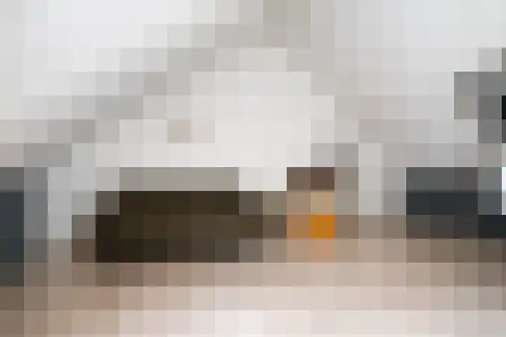 Dagpauwoog 73 Someren thumbnail 23