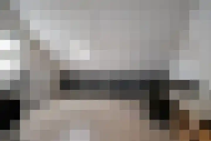 Dagpauwoog 73 Someren thumbnail 25