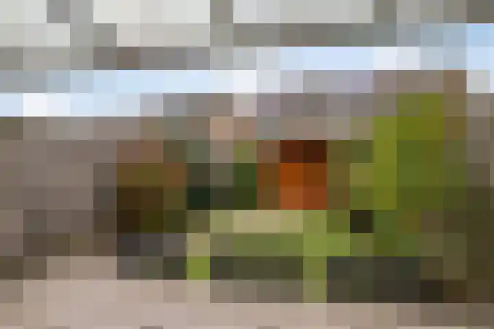 Dagpauwoog 73 Someren thumbnail 26