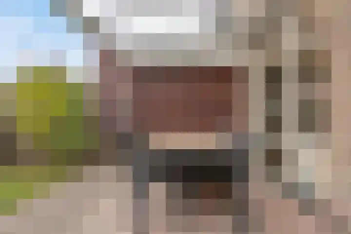 Dagpauwoog 73 Someren thumbnail 27
