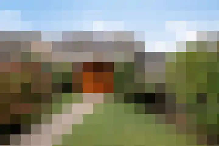 Dagpauwoog 73 Someren thumbnail 28