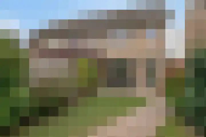 Dagpauwoog 73 Someren thumbnail 29