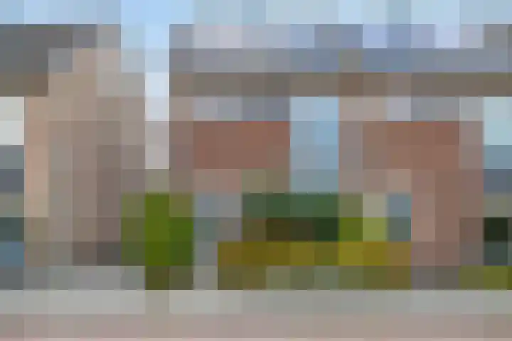 Dagpauwoog 73 Someren thumbnail 4